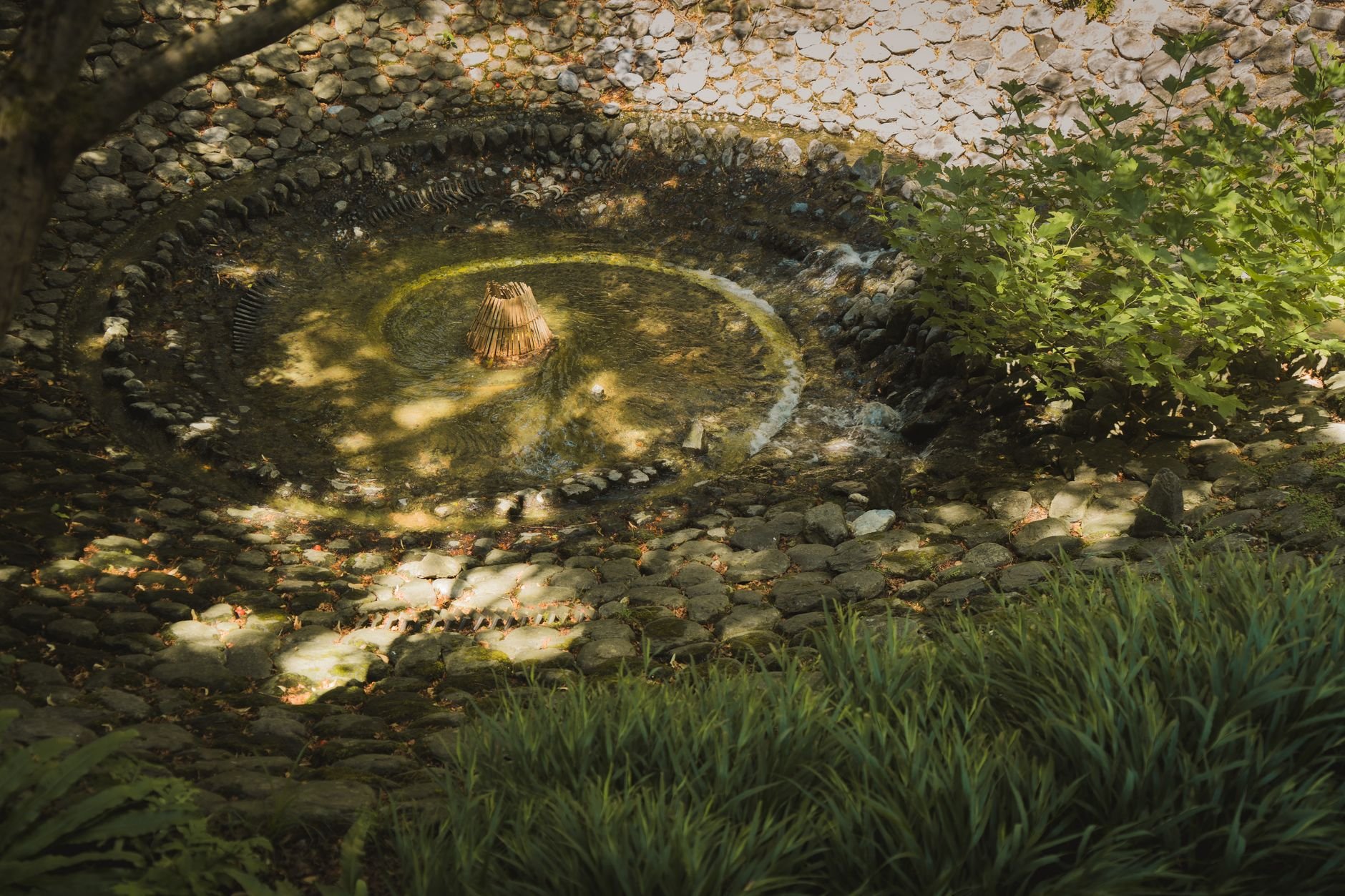 A tranquil stone fountain surrounded by lush greenery and dappled sunlight